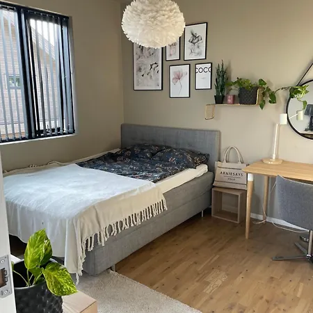 Beautiful Close To The Sea